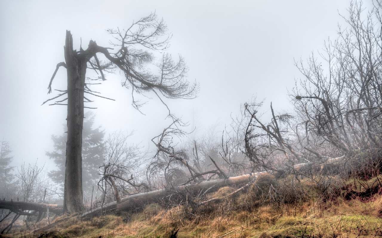 Viel Regen und schwere Sturmböen bis ins Flachland