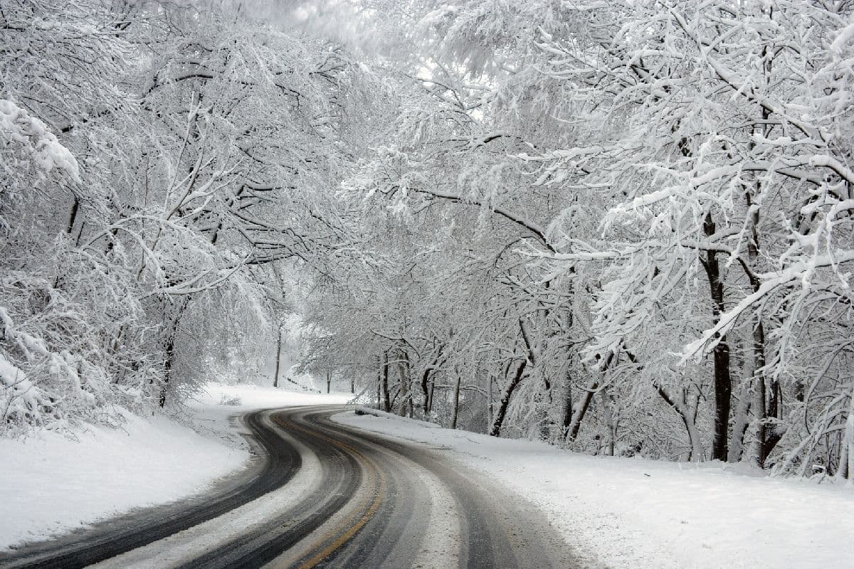 Starke Schneefälle zwischen dem Süden und der Lausitz