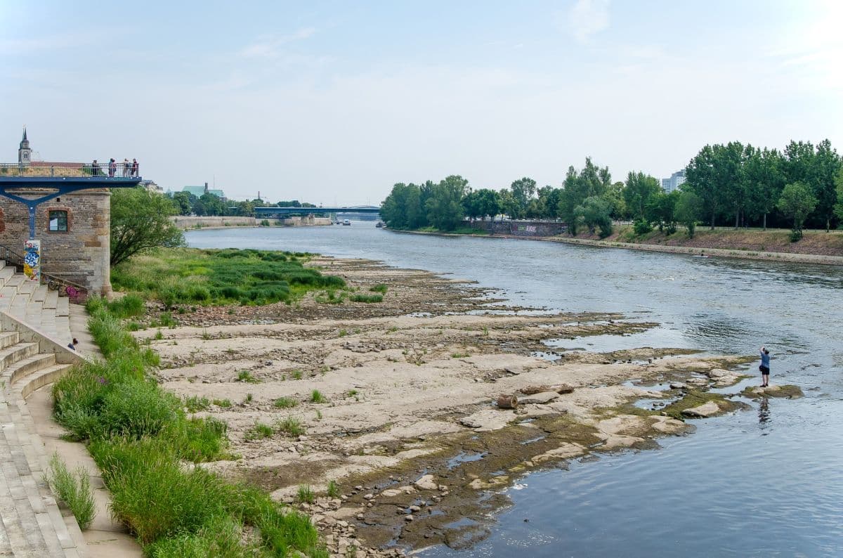 Deutsche Gewässer leiden unter extremen Niedrigwasser