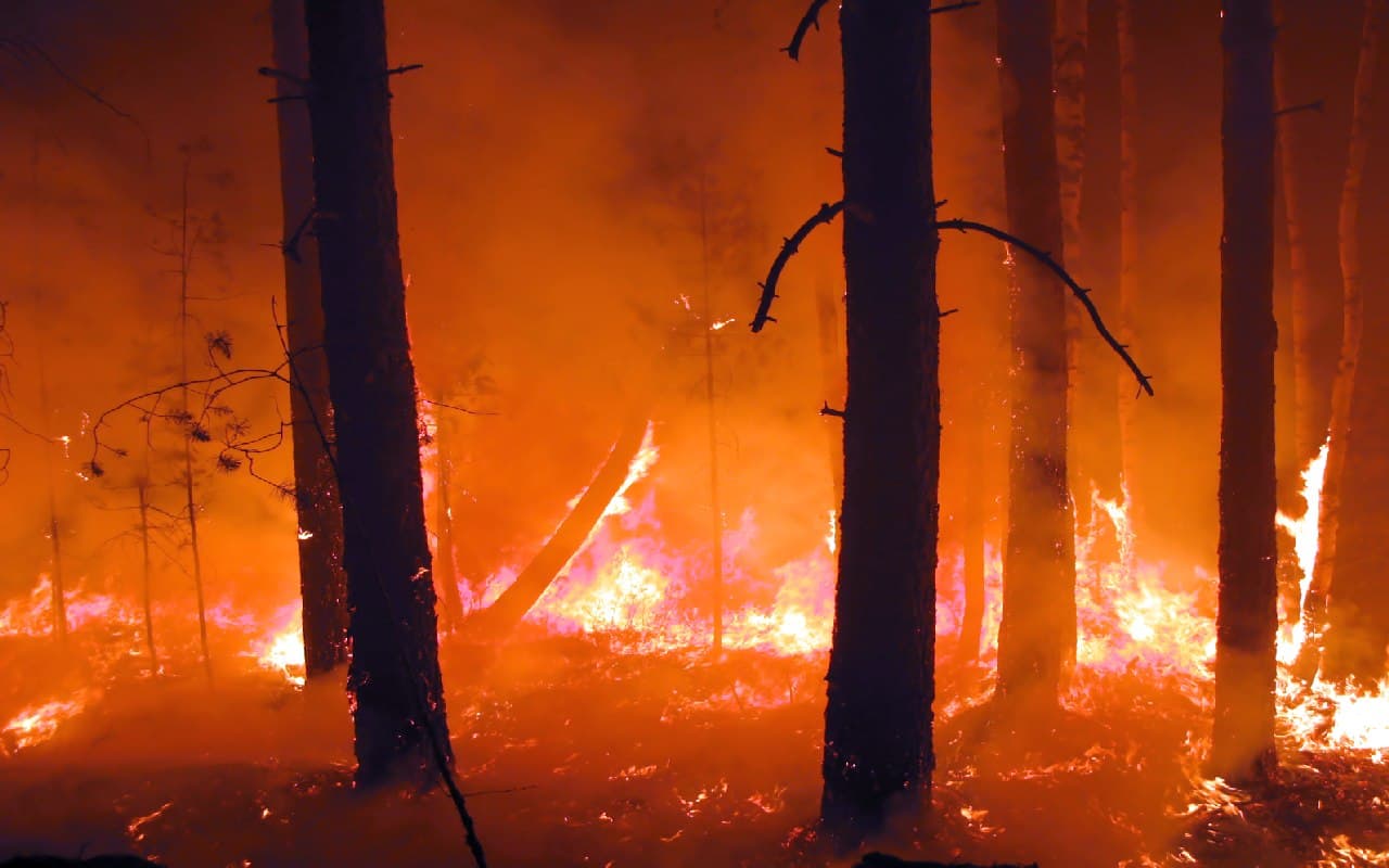 Wieder enorme Brandgefahr bei Wäldern und Grasland