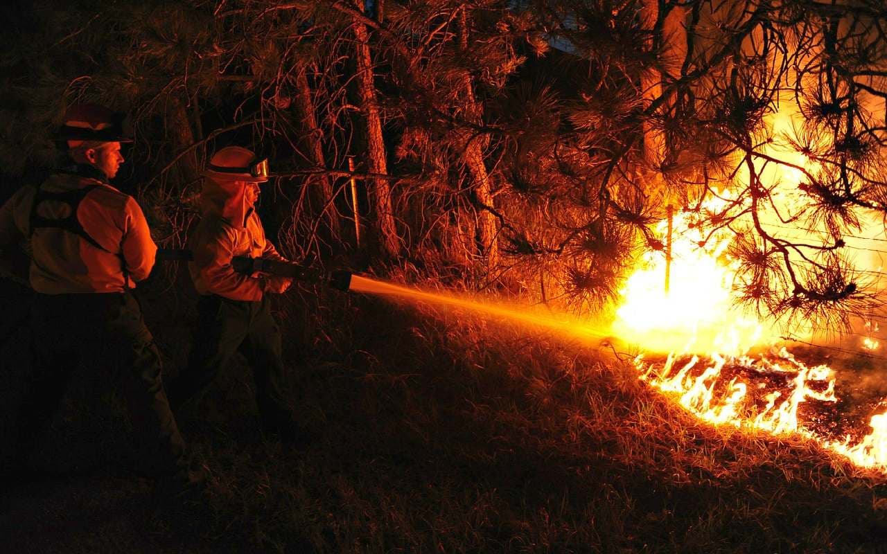 Waldbrände in Griechenland und auf Gran Canaria