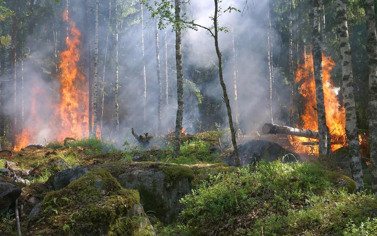 Trockenheit wächst stetig über die Feiertage – Osterfeuer fallen aus
