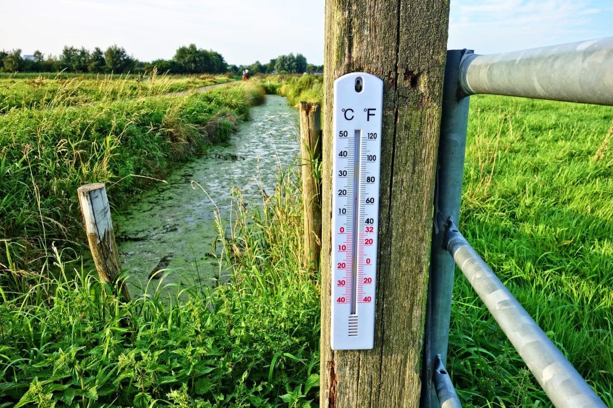 Frühjahrsmüdigkeit Teil 2 – wie erkennt man diese?