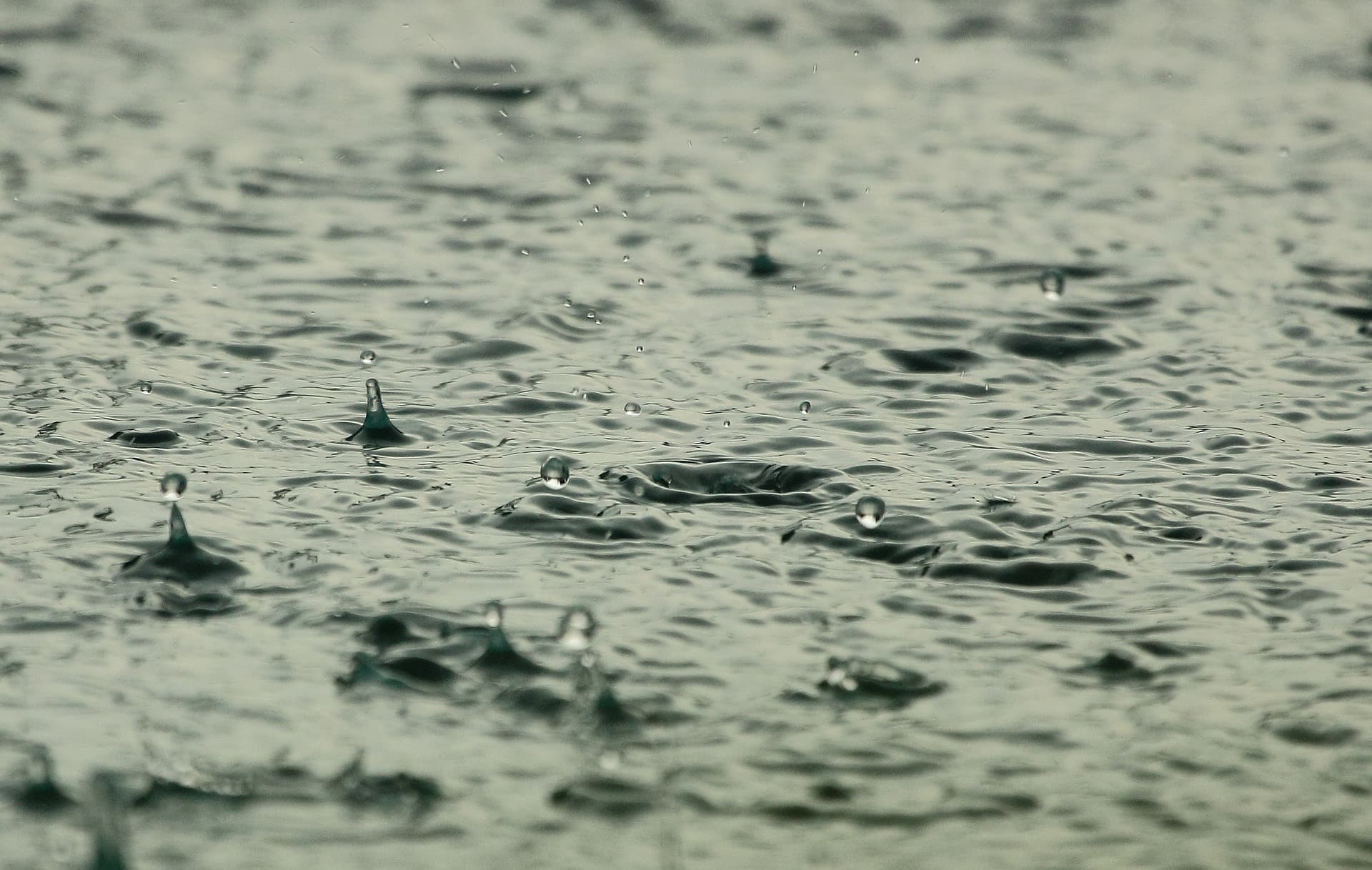 Die Karten werden neu gemischt - Regen, Sturm und milde Luft