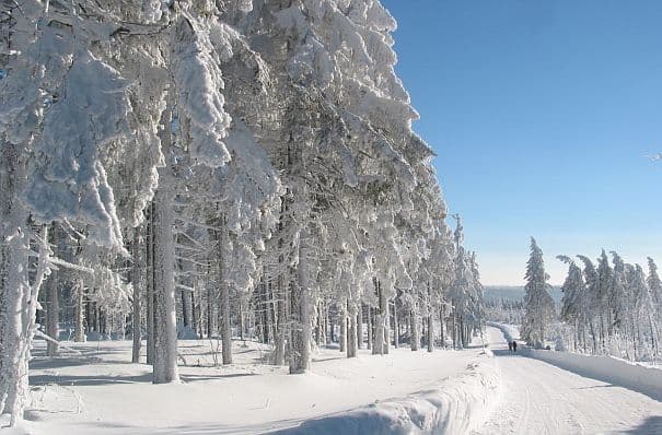 Schnee und Kälte östlich von uns!