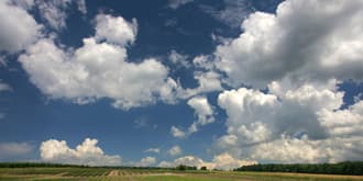 Hochsommerwetter, teils schwül und gewittrig
