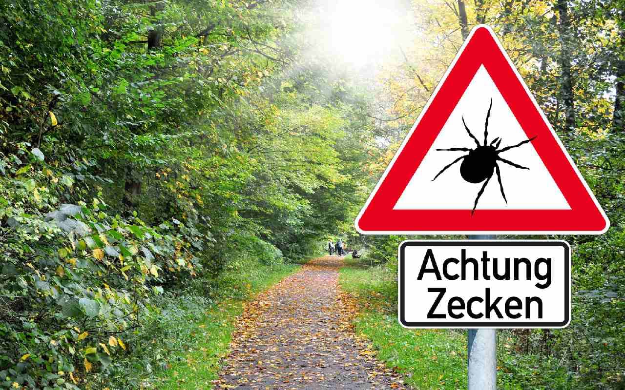 Vorsicht Zecken!
