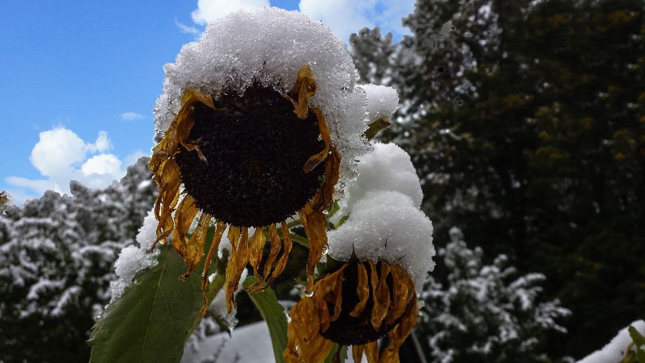 Wintereinbruch kommt der Monatsbilanz zugute
