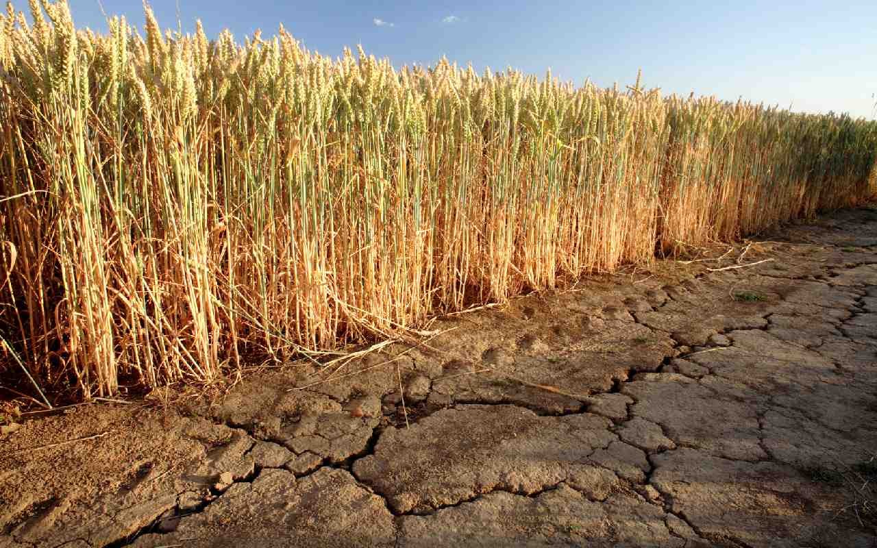 Trockenheit geht in die Verlängerung Trockenheit geht in die Verlängerung