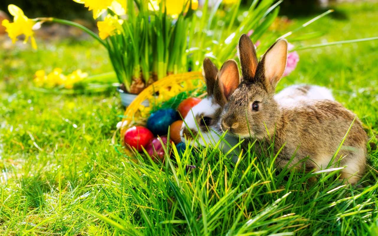 Wie wird das Wetter an Ostern?