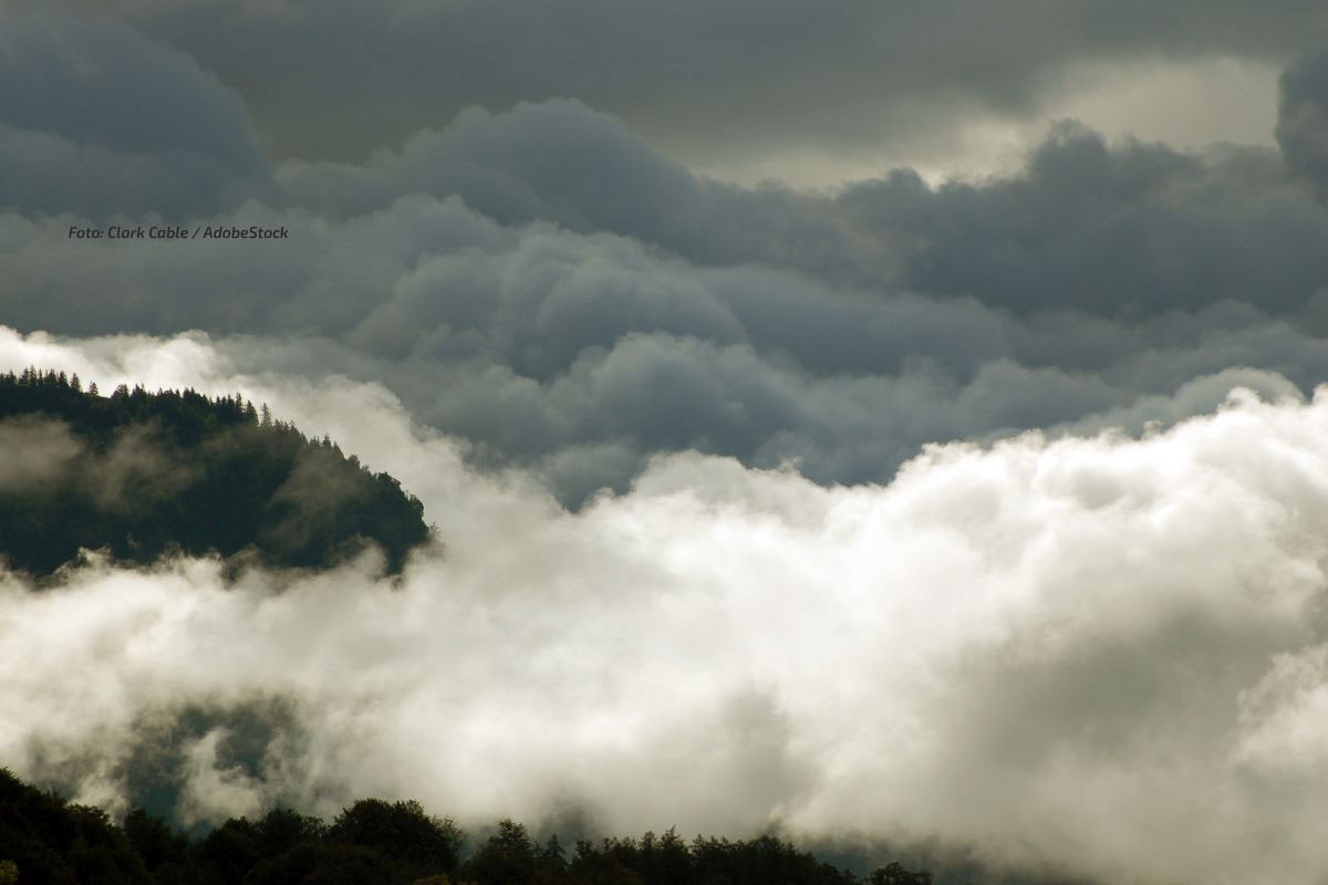 Nebel sorgt stellenweise für einen grauen Himmel