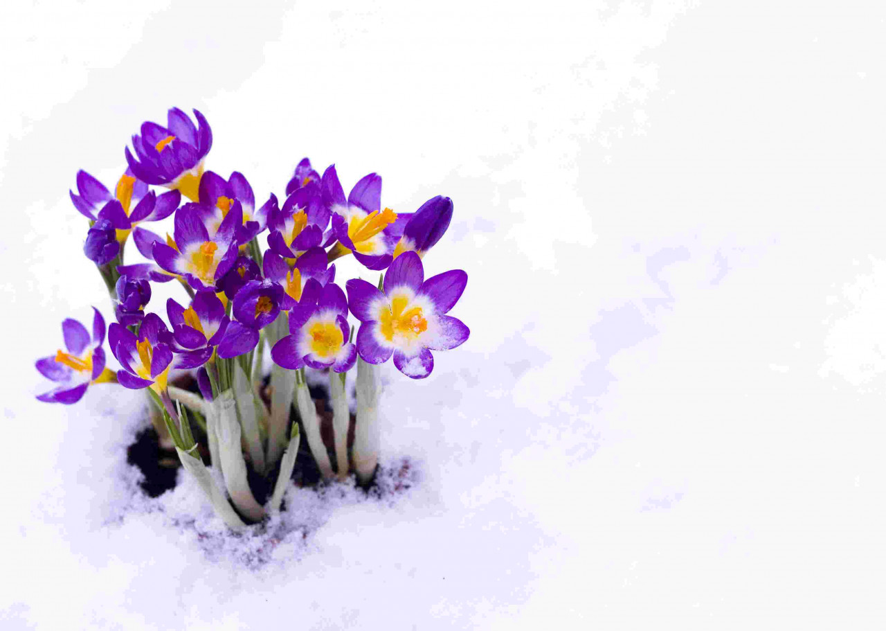 Winterliches Frühlingswetter