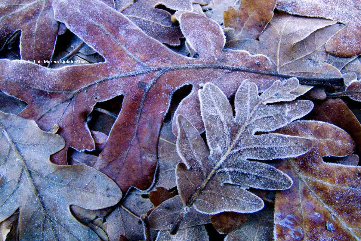 Come sarà novembre 2023?